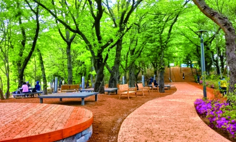 노원 초안산 수국동산 가는길&amp;#44; 주차장&amp;#44; 축제 근처 맛집 총정리(하늘꽃정원)