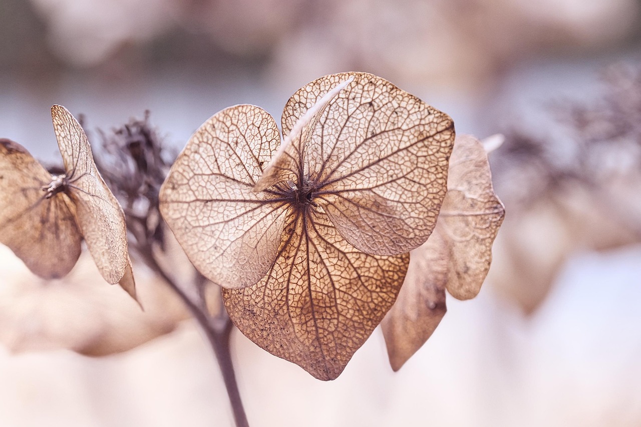 퇴직 후 돈을 오래 유지하는 ‘지출 속도 조절 전략’ 7가지