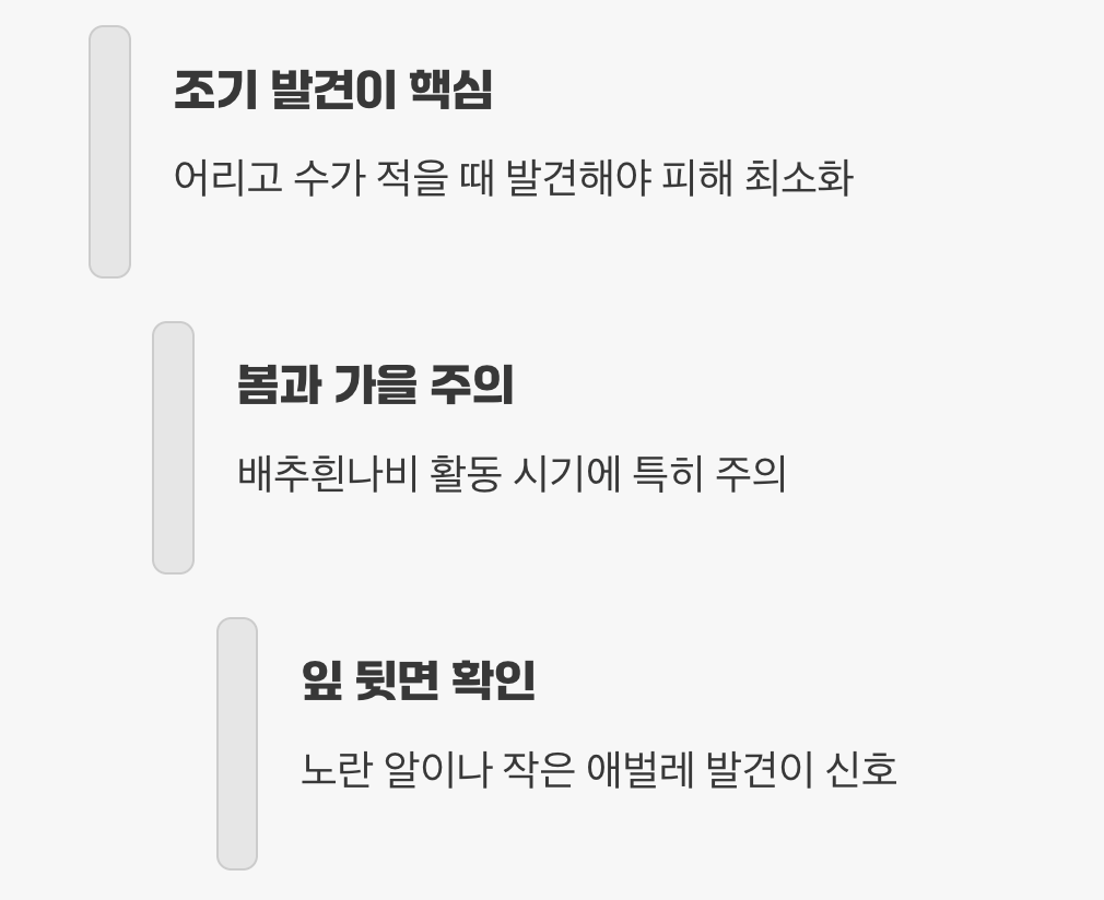 3. 골든타임, 잎 뒷면을 확인하세요