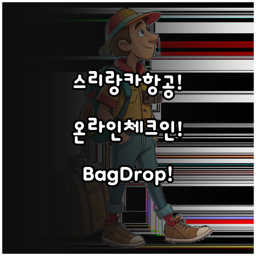 스리랑카항공 온라인 체크인 및 수하물..