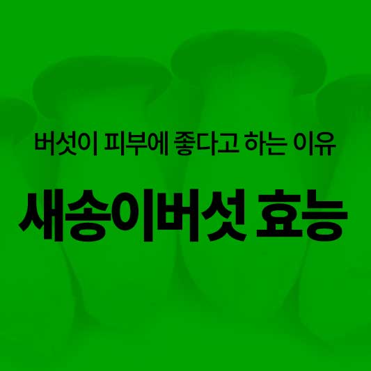 새송이버섯 효능 및 부작용