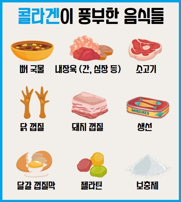 콜라겐 풍부한 식품