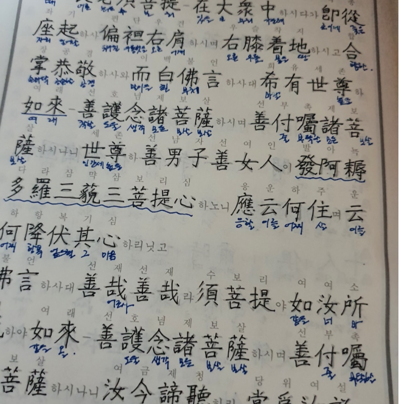처음사경한금강경