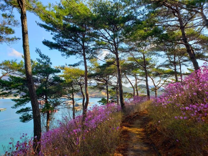 경남 고성 가볼만한 곳