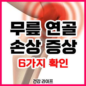 무릎 연골 손상 증상