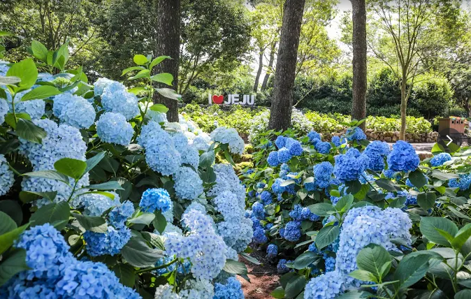 휴애리 자연생활공원