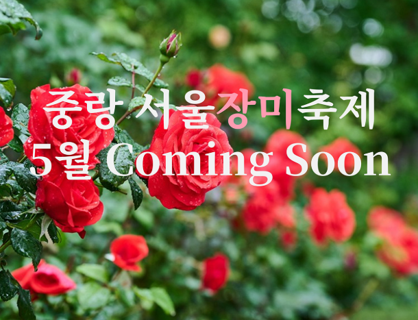 5월꽃구경 가볼만한 곳