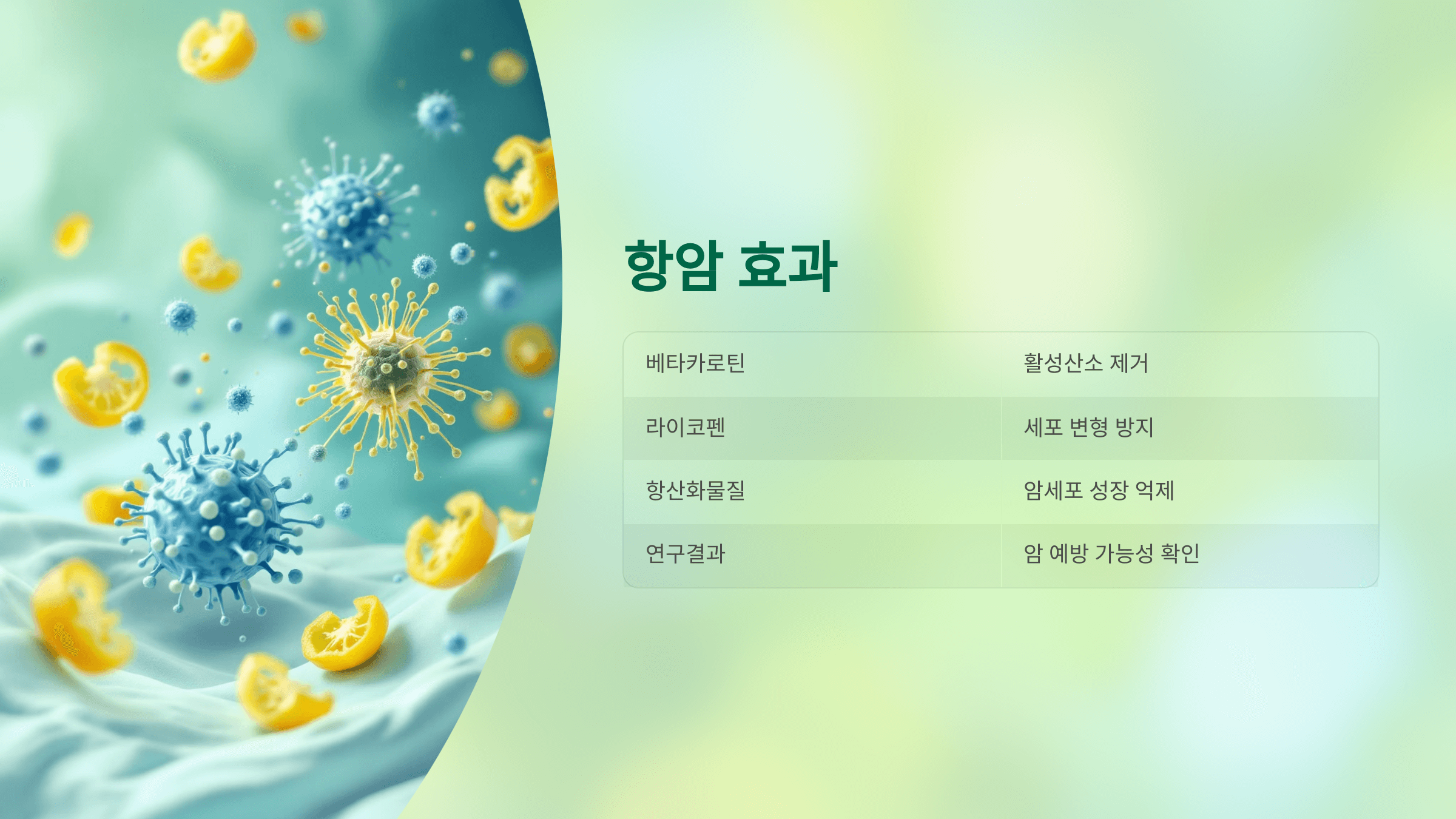 파프리카 사진입니다.