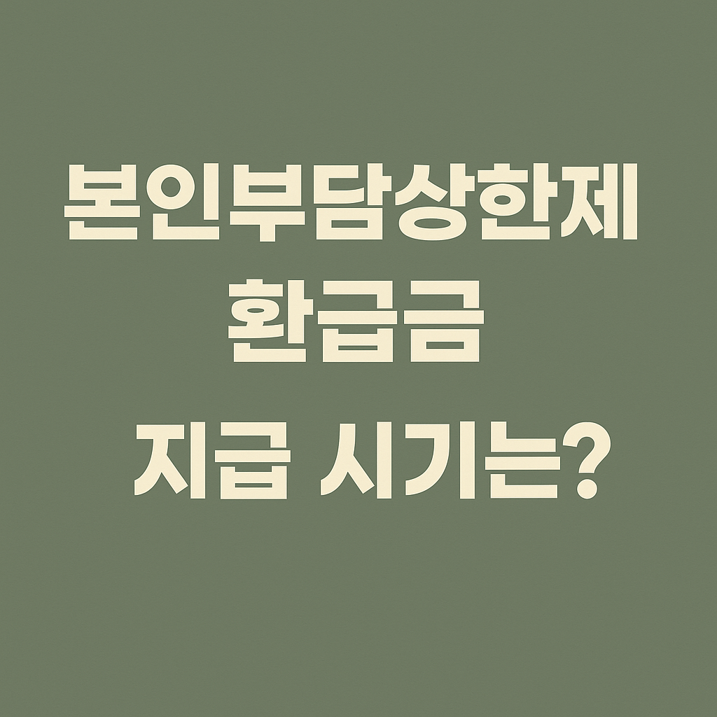 본인부담상한제 환급금 지급 시기 안내