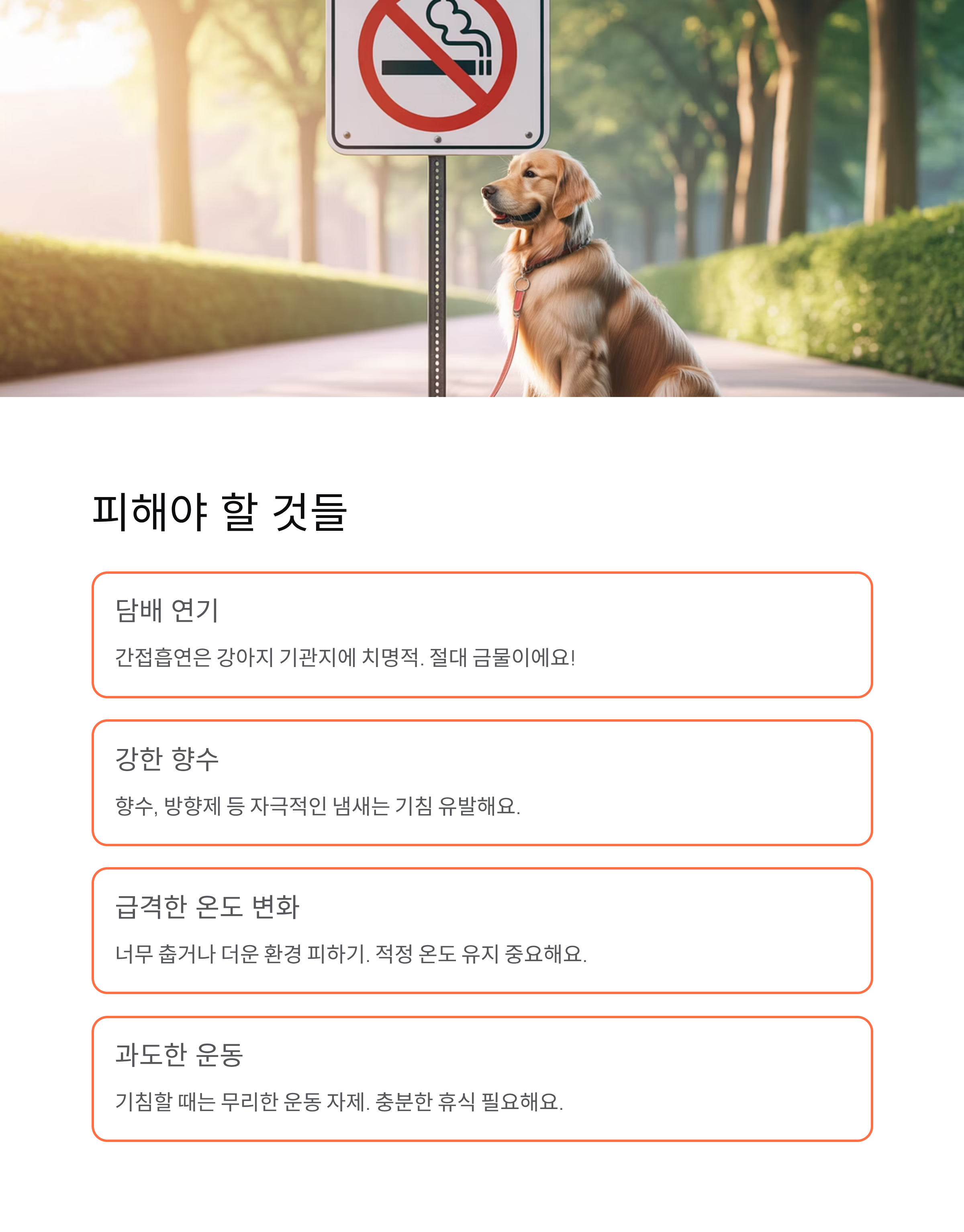 강아지 기침 원인·증상·치료법 총정리! 병원 가야 할 때는?
