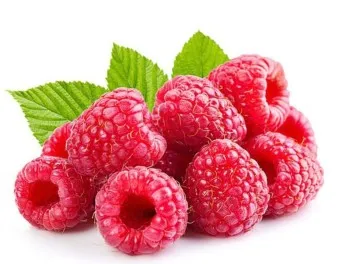 슈퍼푸드 라즈베리 산딸기 효능 섭취량 주의사항_2