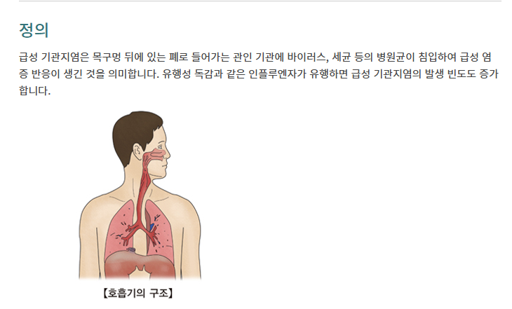기관지염 정의 사진