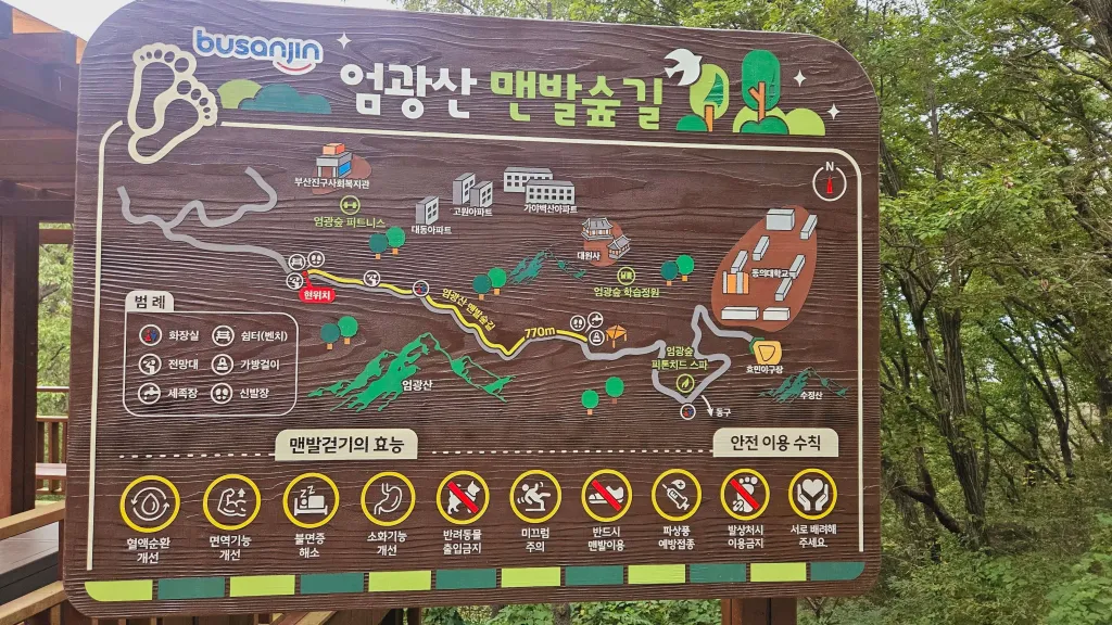 엄광산 맨발숲길