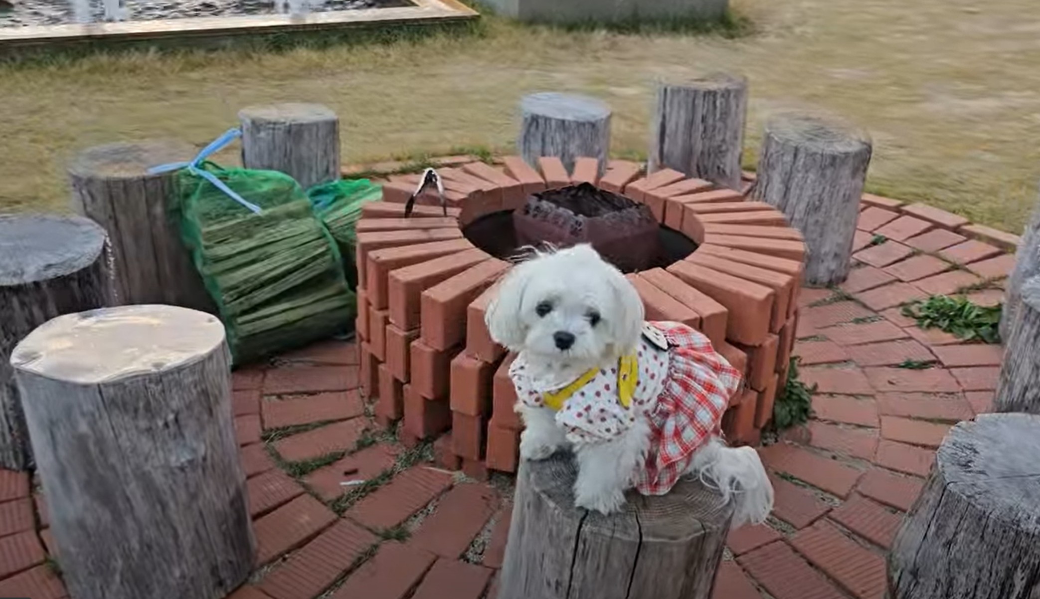 그랜드 바베큐장 불멍 장소