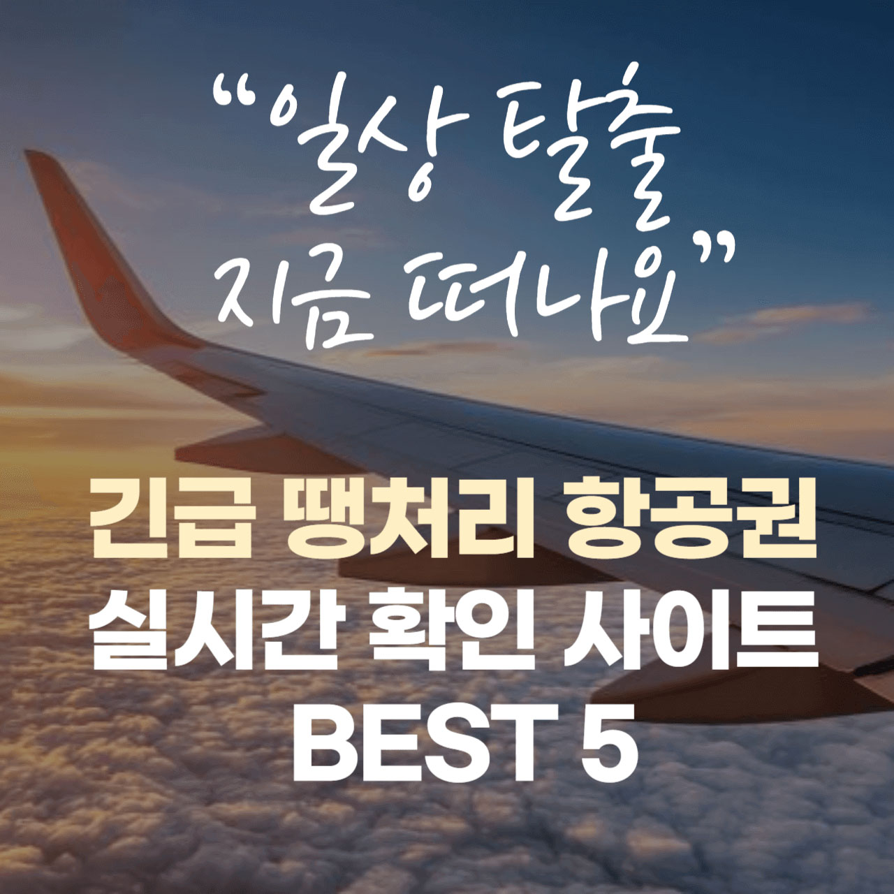 "일상 탈출 지금 떠나요", 긴급 땡처리 항공권 실시간 확인 사이트 BEST 5