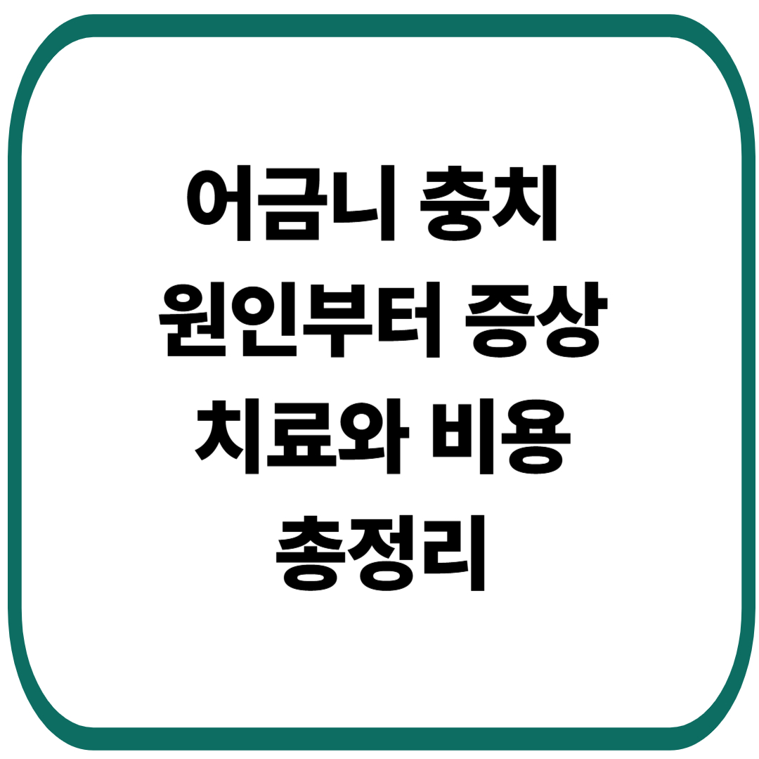 어금니 충치 원인부터 증상, 치료와 비용까지 한눈에 정리