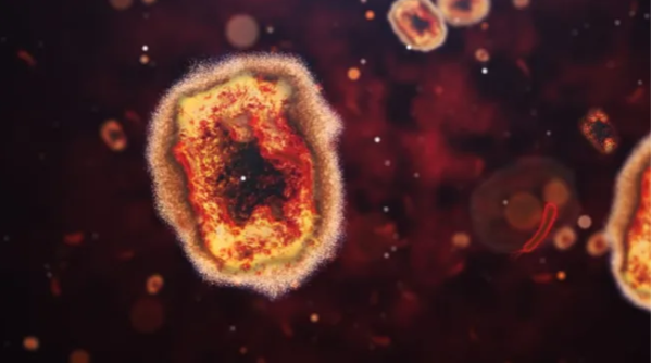 엠폭스 바이러스(출처=라이브사이언스)