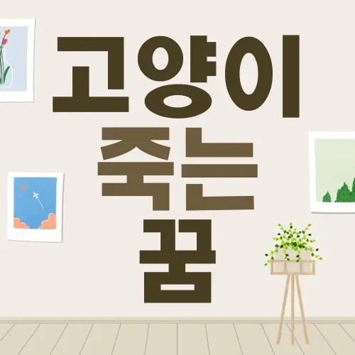 고양이 죽는 꿈