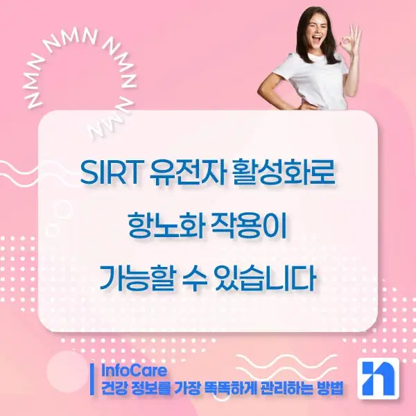 NMN 효능 효과 복용법