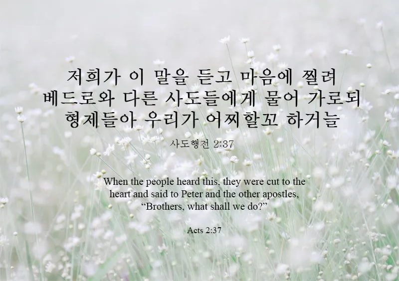 사도행전 2장 제자들의 성령 묵상_2