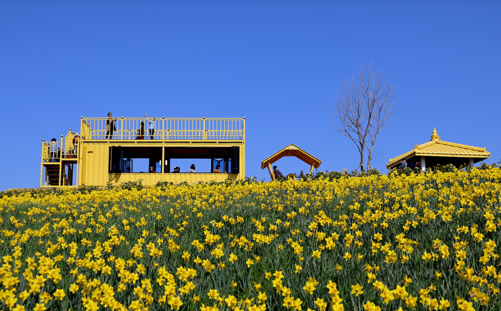 신안 지도읍 선도