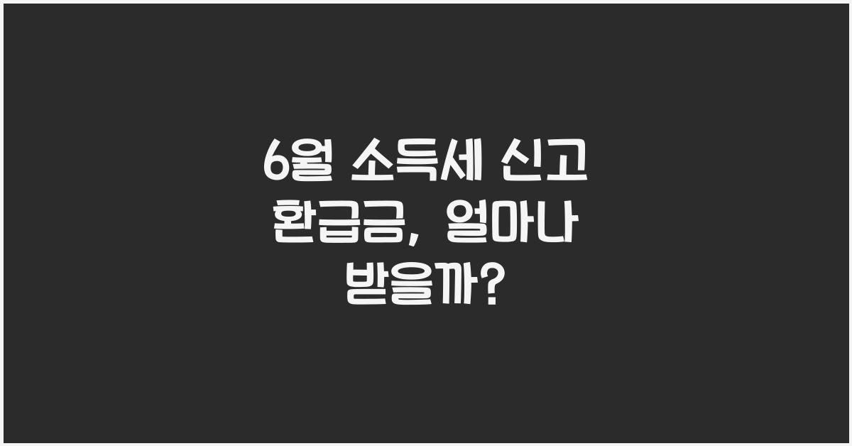 6월 소득세 신고 환급금