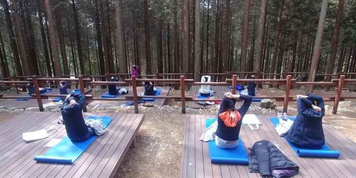 창원 편백 치유의 숲