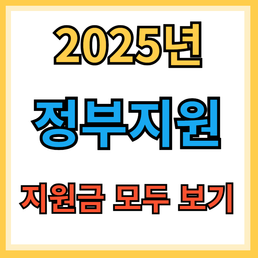 2025년 정부지원금