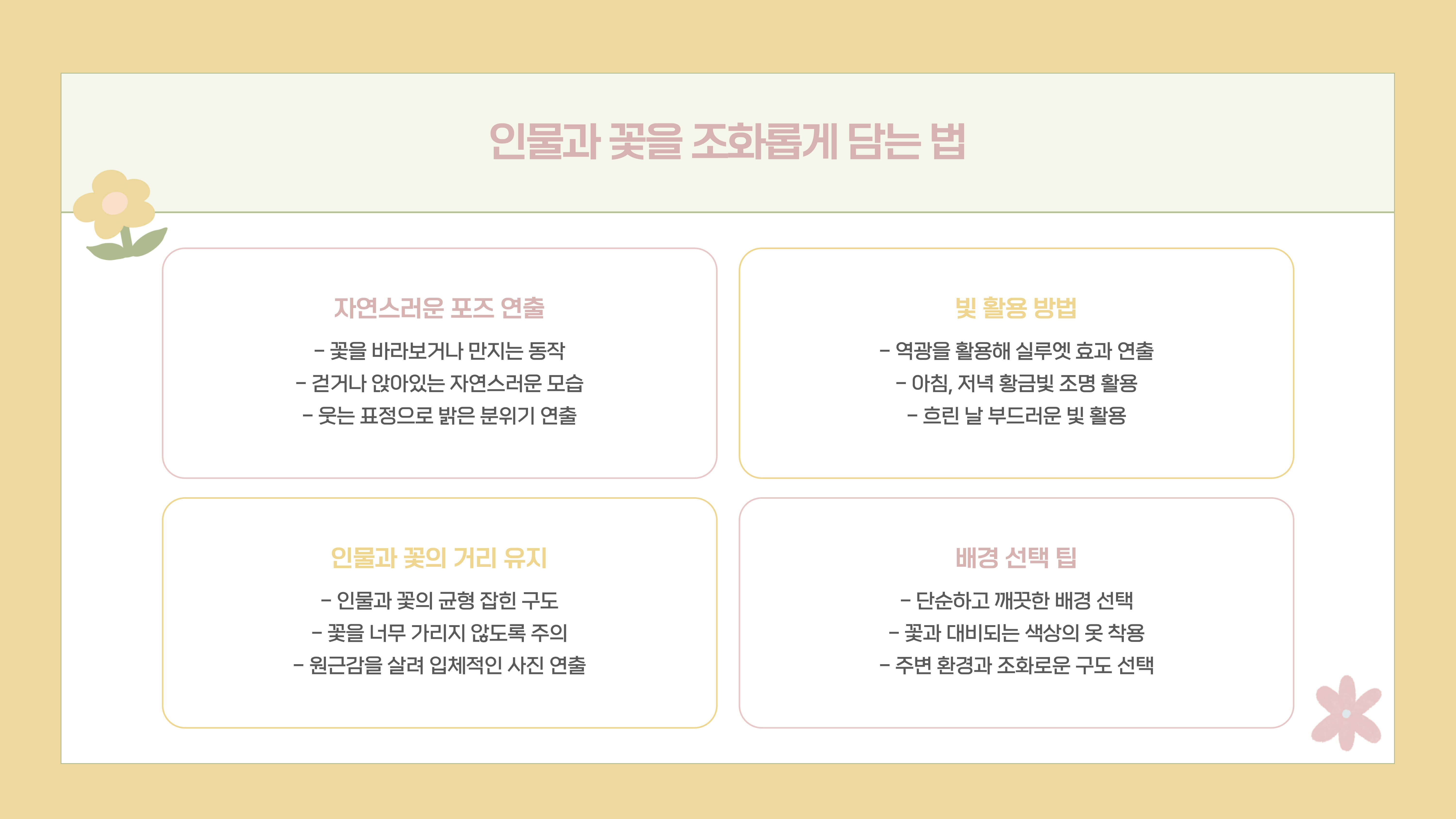 화담숲 봄꽃 사진 촬영 팁