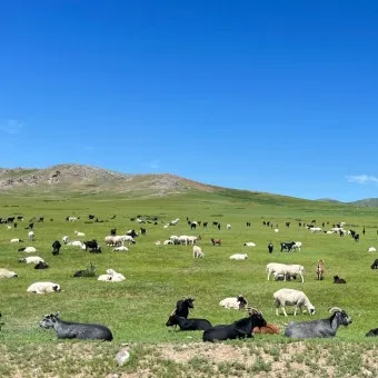 몽골 여행하기 좋은 계절 완벽 가이드 베스트 시기_7
