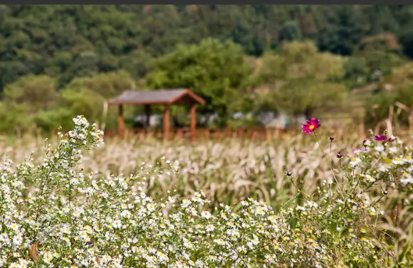 경안천 습지공원