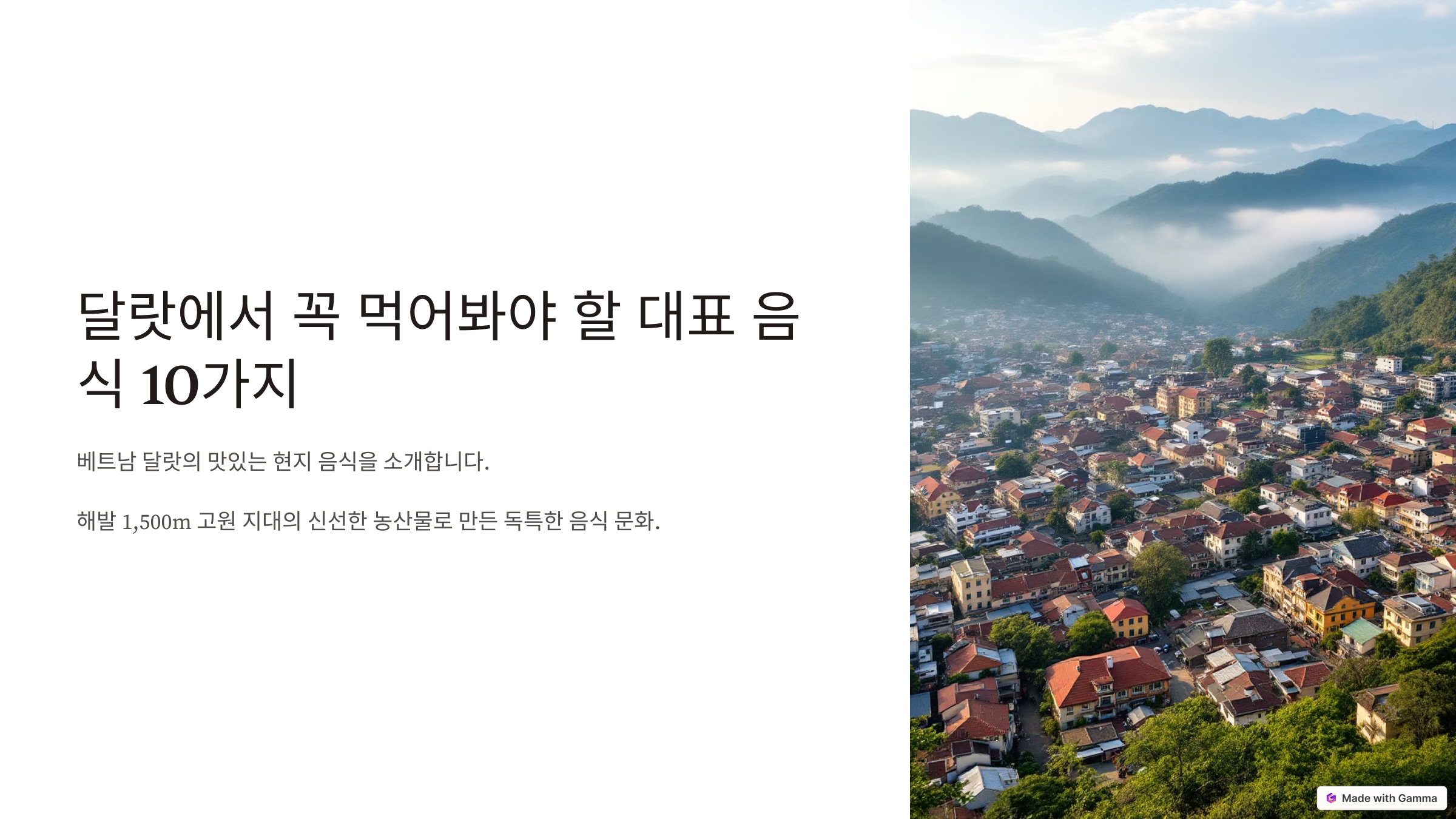 달랏 대표 음식 사진