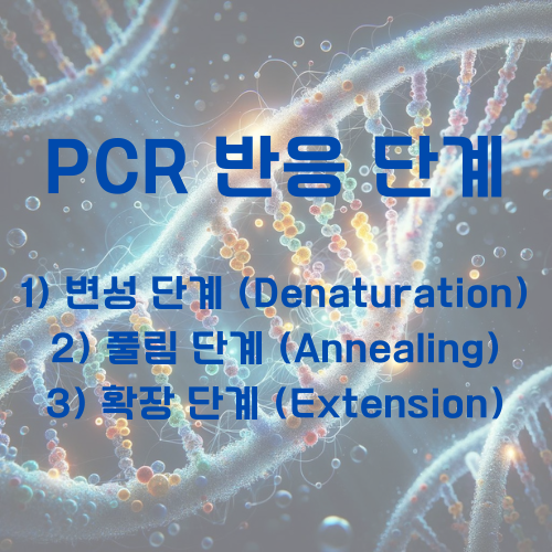 PCR 반응별 단계