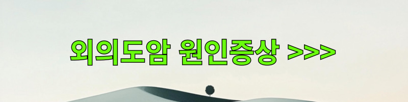 외이도암