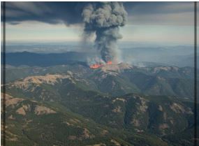 산불 재난지원금 신청하기