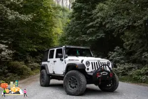 신차구입자동차담보대출조건