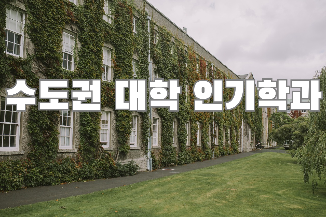 수도권 대학 인기 전공 학과 관련 이미지