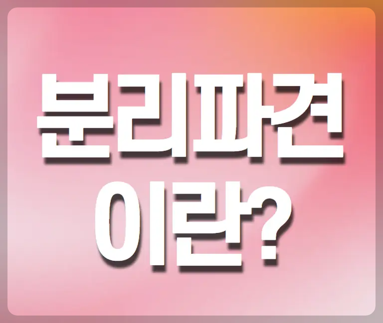 분리파견이란?
