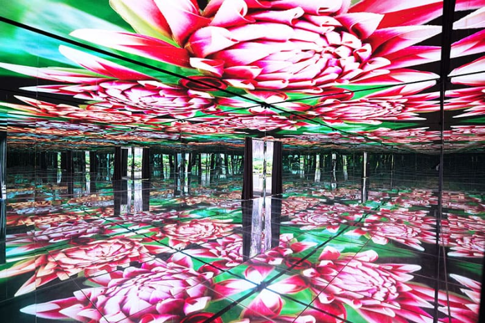 가평 베고니아새정원