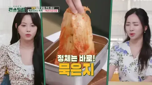 편스토랑-이찬원레시피-묵은지감자탕-사진