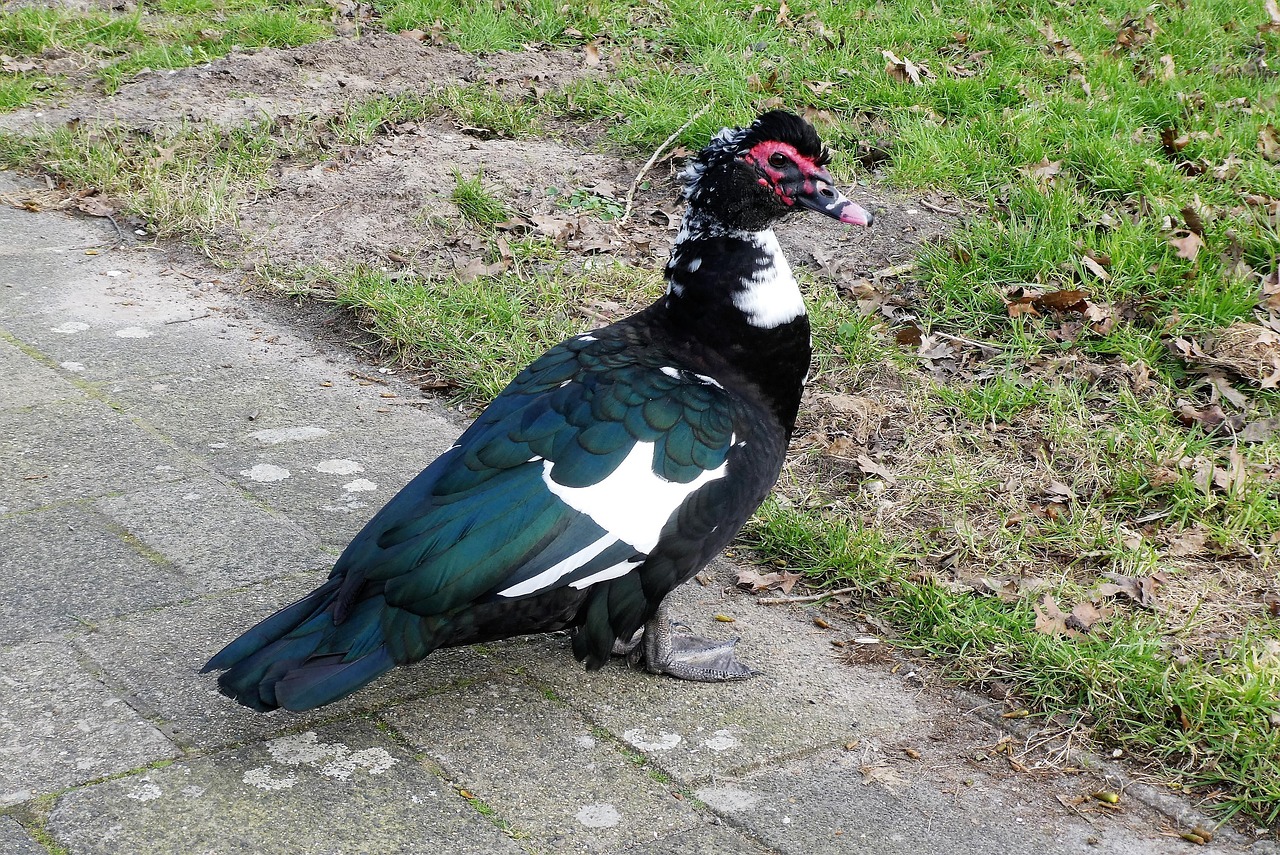 중도상환수수료 계산법