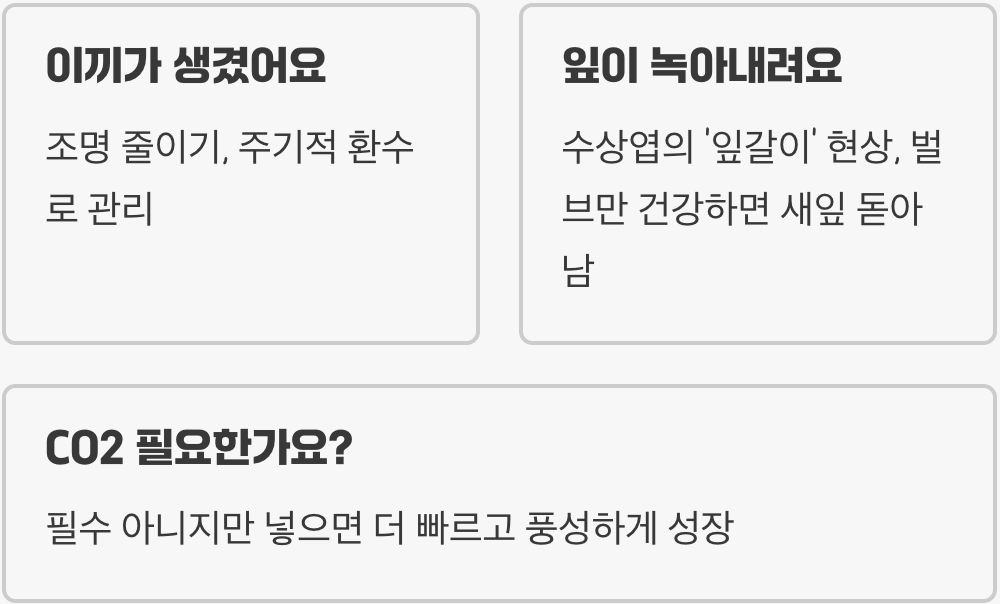 초보자가 음성수초 키울 때 가장 많이 하는 실수 5가지