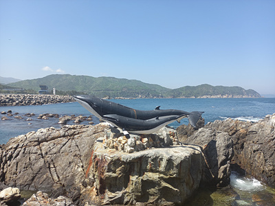 돌고래 모형 사진