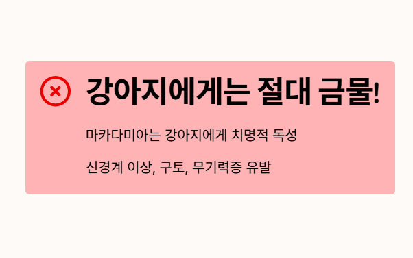 마카다미아 강아지에게는 절대 금물