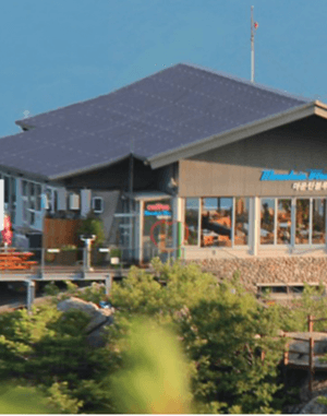 팔공산 케이블카 예약