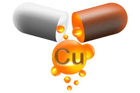 구리의 효능은 무엇일까요