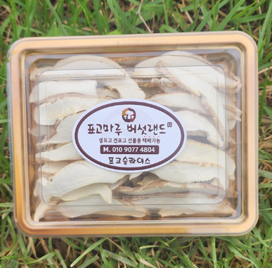 표고마루 버섯랜드