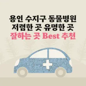 용인 수지구 동물병원 잘하는 곳 가격 저렴한 곳 추천