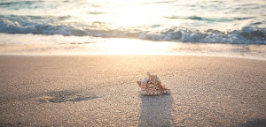 여름휴가지 추천 