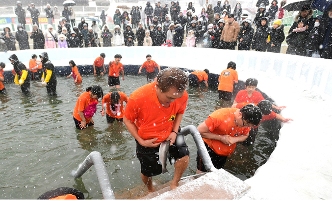 2025 화천 산천어 축제 예약 입장료 일정 무료주차 이벤트